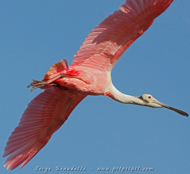 2009-01-10 15-38-02__MG_2444.JPG